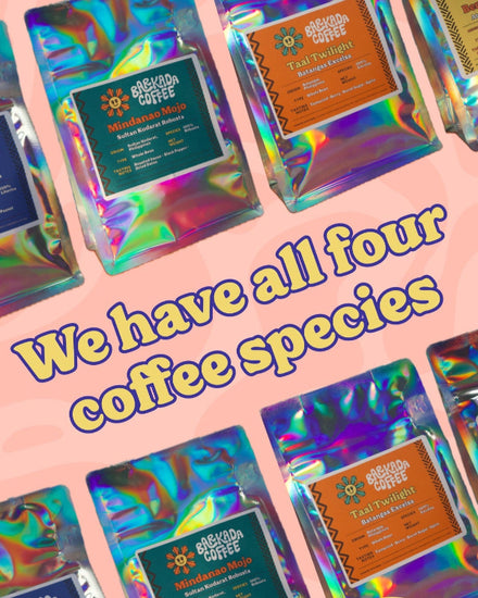 Holographic coffee packages with colorful labels on a pink background